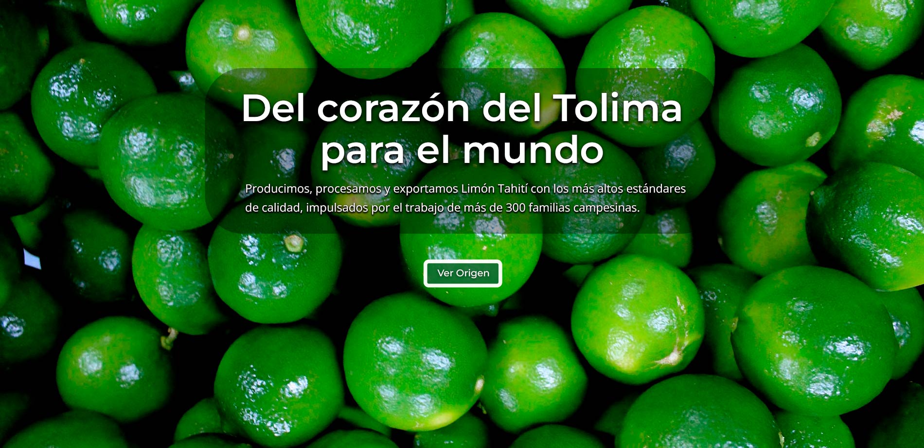 img-cifrutol_inicio6.jpg